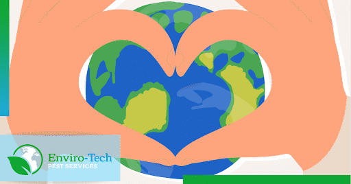 heart over the world